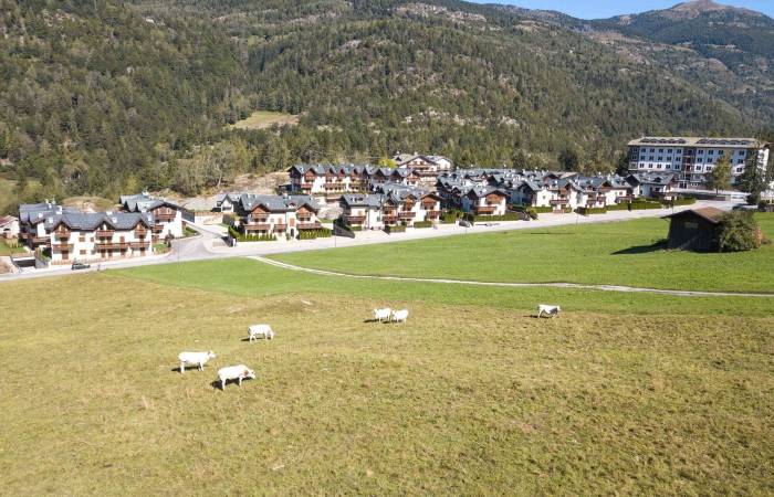 Chalet Borgo Alpino  appartamento in affitto 6 posti